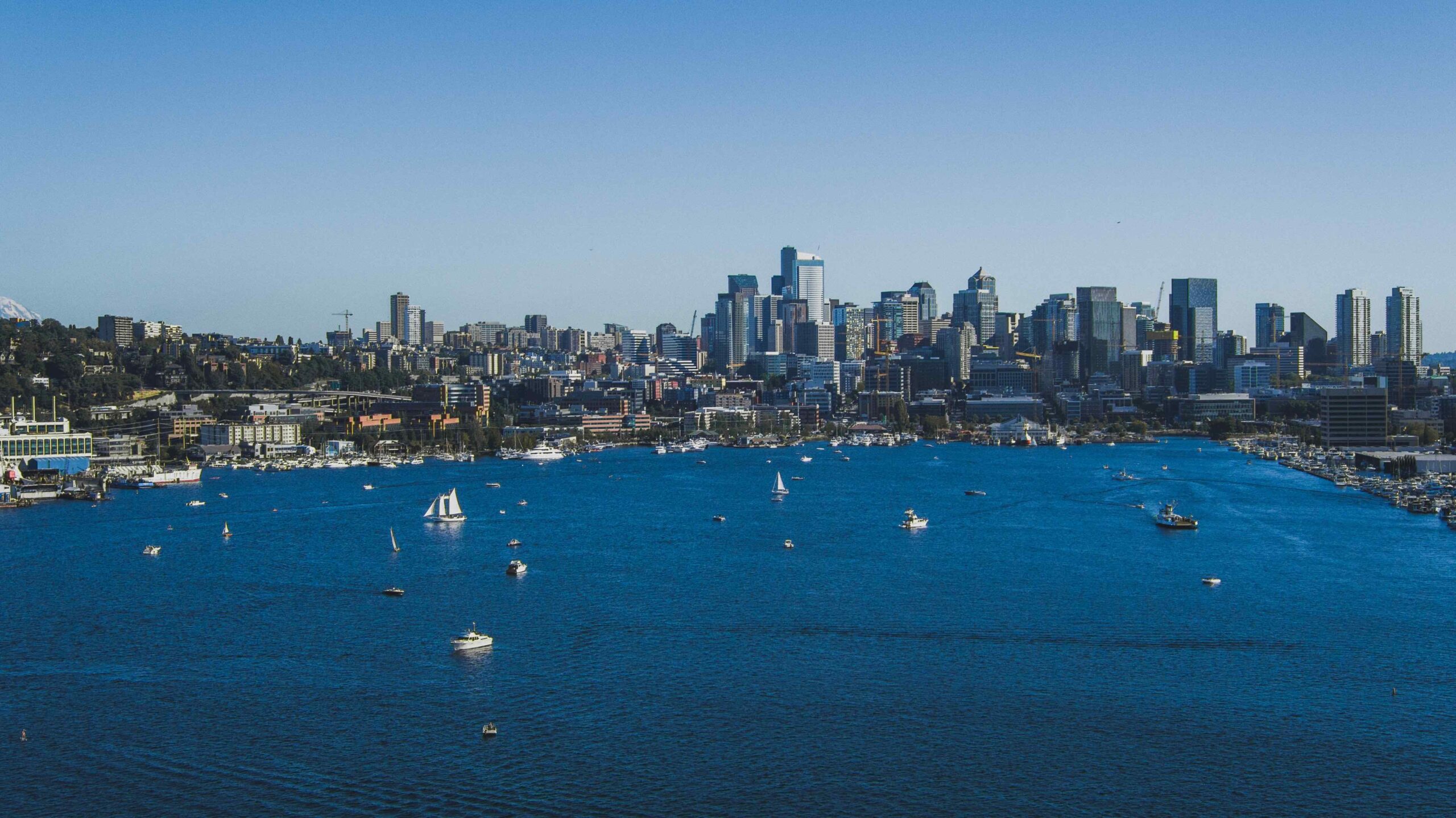 Boating on Lake Union? Please, MindTheZone Seattle Boat Show